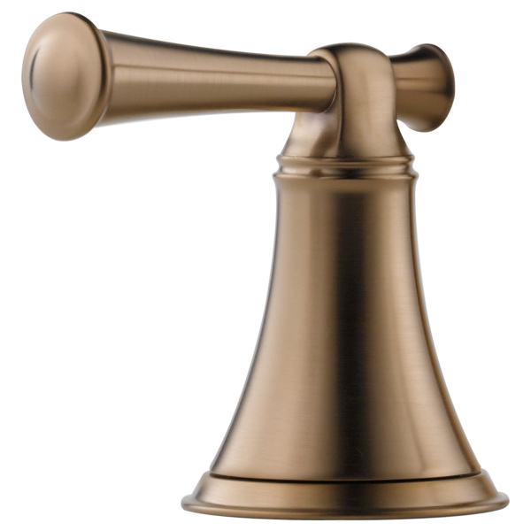 Brizo® HL605-BZ